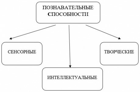 Конспект выступления на педагогическом совете ДОУ «Особенности развития познавательных способностей в дошкольном возрасте»